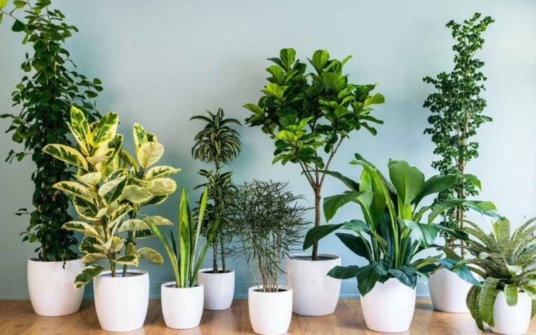 quà tặng ý nghĩa cho bác sĩ quà tặng ý nghĩa cho bác sĩ