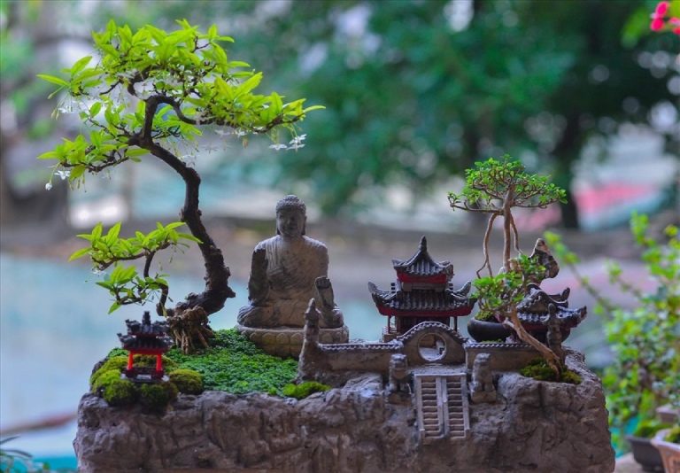quà sinh nhật cho người lớn tuổi quà sinh nhật cho người lớn tuổi
