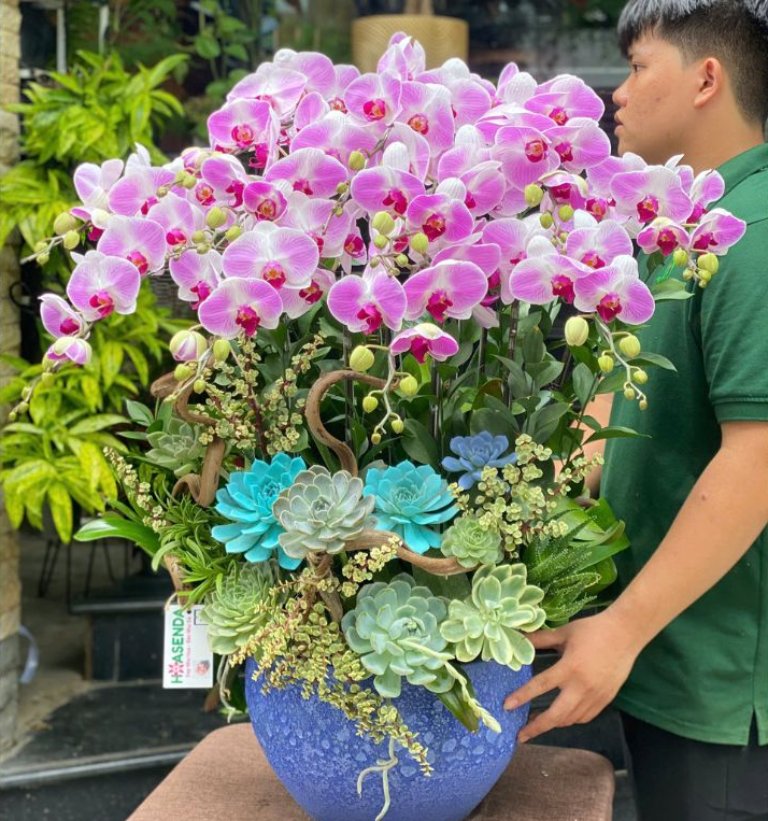 Hoa lan hồ điệp khai trương trường mầm non