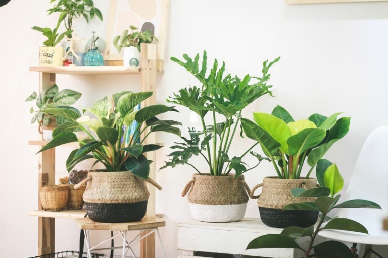 quà tặng nhân ngày thầy thuốc việt nam 27-2