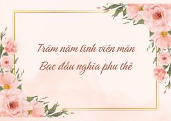 câu chúc đám cưới trăm năm tình viên mãn, bạc đầu nghĩa phu thê