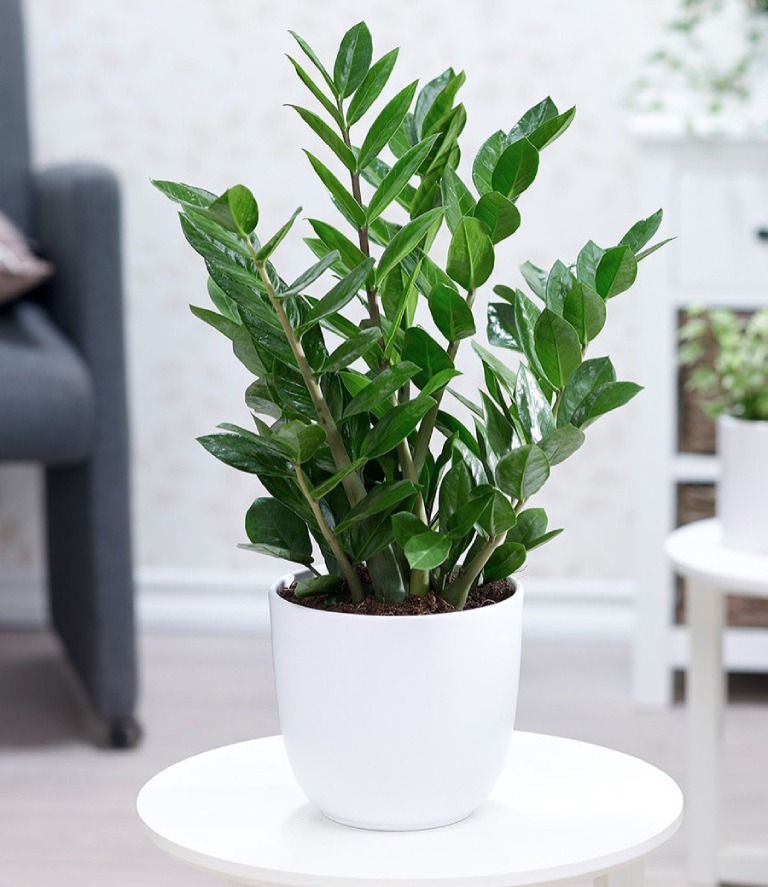 Nên tặng quà gì cho trường cũ