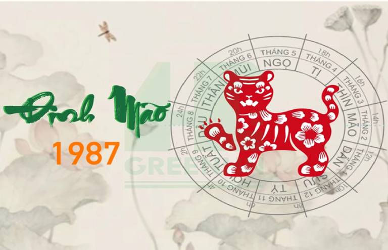 phong thuỷ tuổi Đinh Mão 1987