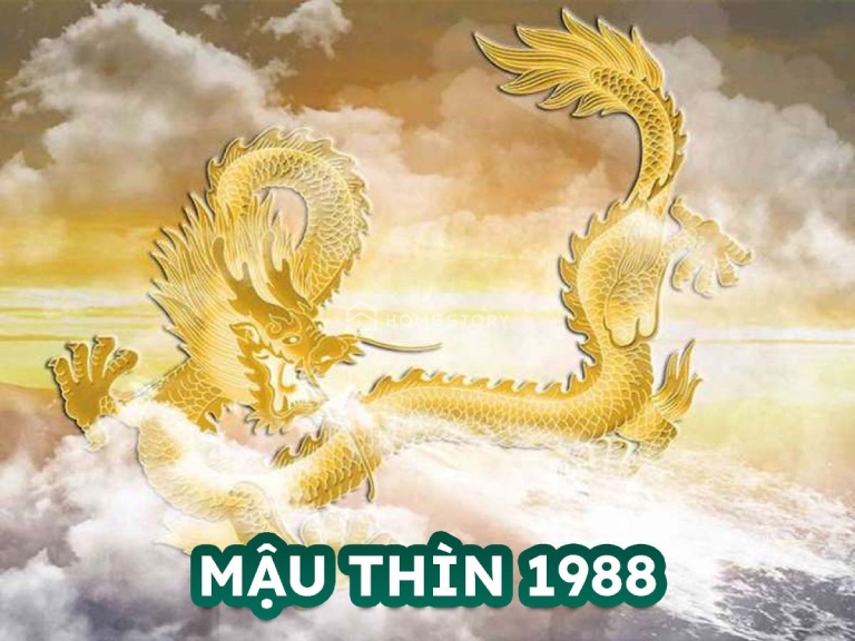 phong thuỷ tuổi Mậu Thìn 1988