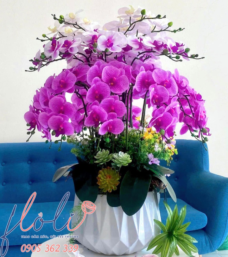 quà chúc mừng năm mới